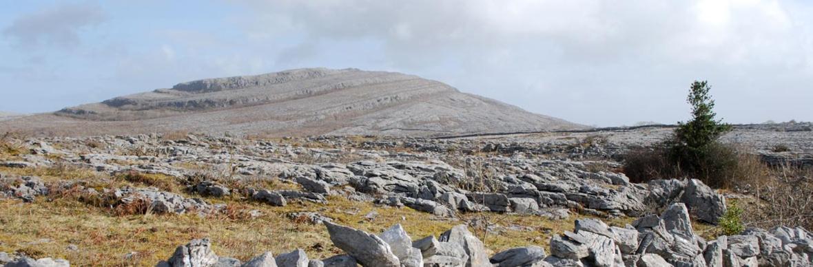 Roadside Cottage The Burren Kilfenora County Clare Екстериор снимка