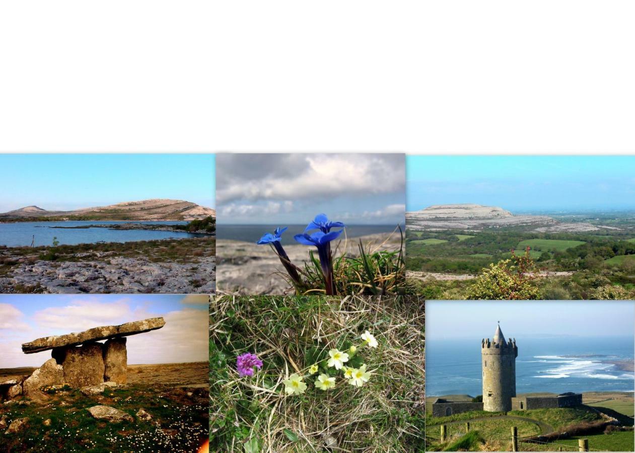 Roadside Cottage The Burren Kilfenora County Clare Екстериор снимка